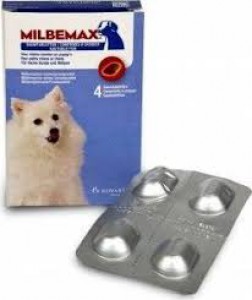 Milbemax kauwtablet <5kg