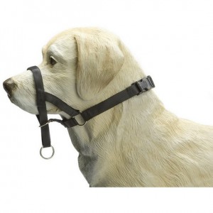 Beeztees Dog Control Halsband Zwart diverse maten