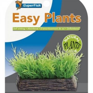 superfish easy plants