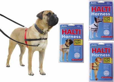 halti harness 