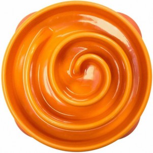 Outward Hound Fun Feeder Slo Bowl Mini